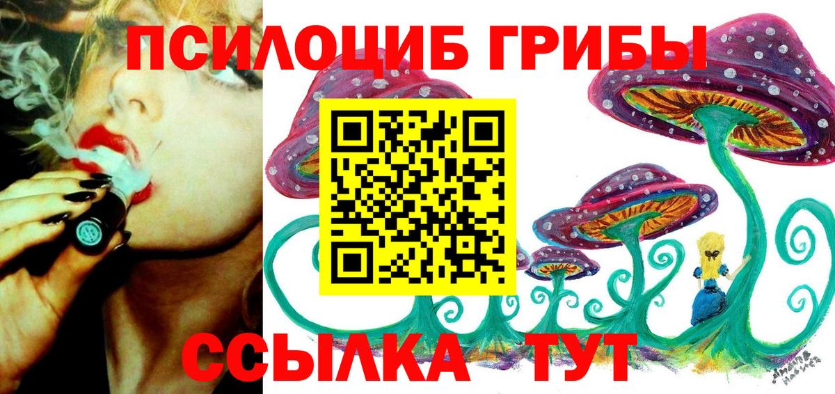 Псилоцибиновые грибы мицелий Армавир
