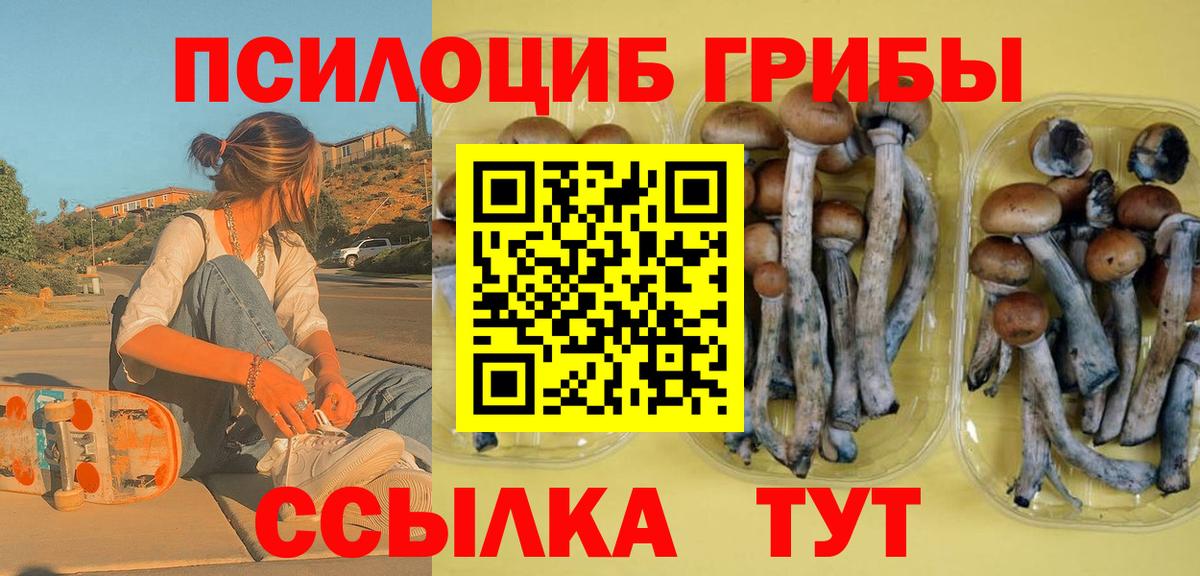 Псилоцибиновые грибы Psilocybe  Вход с VPN  где купить наркоту  Армавир 