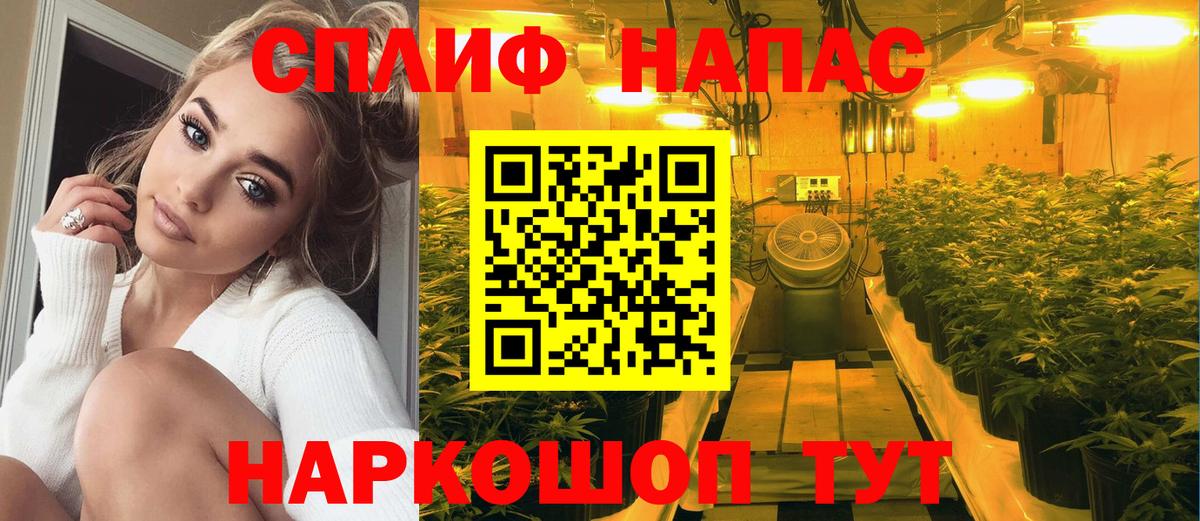 Канабис OG Kush  Бошки Шишки гибрид  Бошки марихуана ГИДРОПОН  МАРИХУАНА White Widow  Вход с VPN  Армавир 